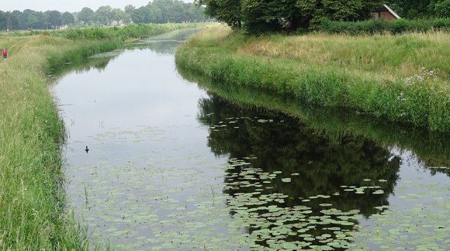 Singels en essen (zondag 10 juni 2018)